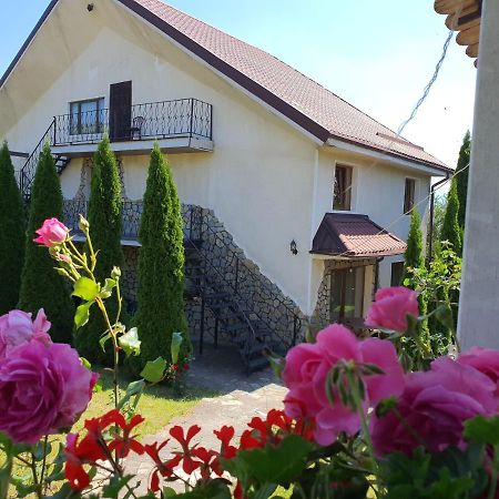 Casa Carpati Διαμέρισμα Zărneşti Εξωτερικό φωτογραφία