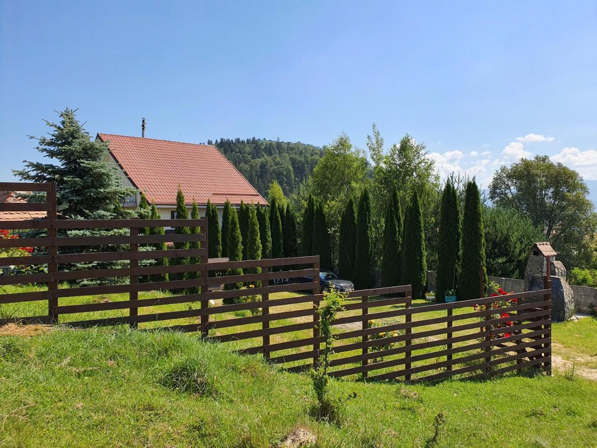 Casa Carpati Διαμέρισμα Zărneşti Εξωτερικό φωτογραφία